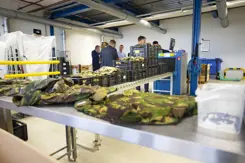 Oude Defensie-uniformen liggen in loods op tafels en in kratten uitgestald.