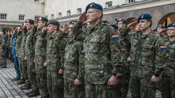 Rijen opgestelde militairen met verschillende kleuren baret op salueren.