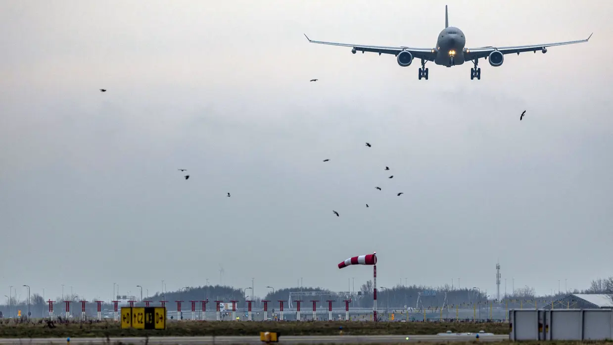 De A330 MRTT nadert luchthaven Schiphol. De lucht is grijs. Vogels vliegen in de lucht. Ook de landingsbaan met windroos is te zien. 