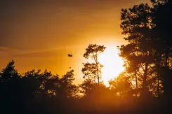 Helikopter vliegt boven bosrijk gebied.