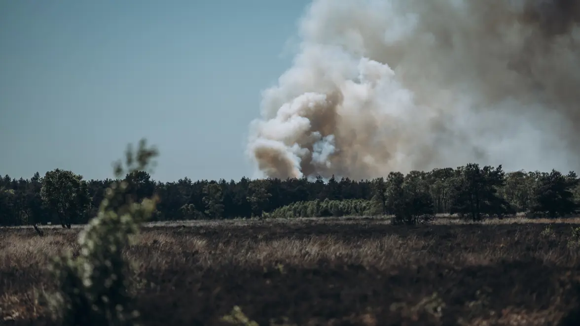 Dikke rookwolken stijgen op uit een bos. 