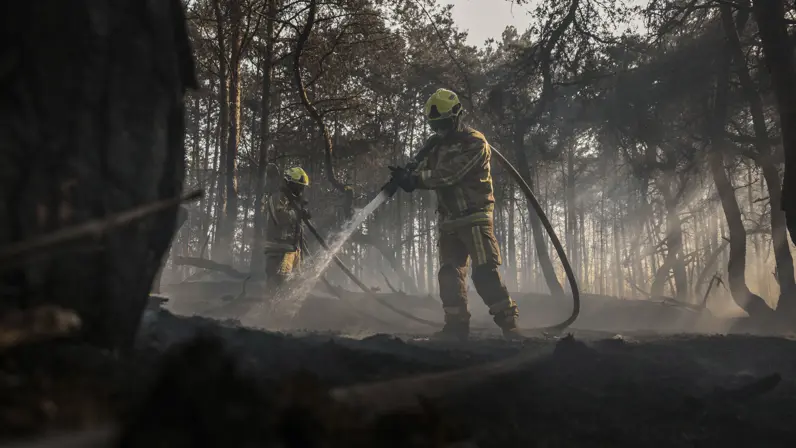 Brandweerlieden blussen een natuurbrand in een bosgebied terwijl rook tussen de bomen hangt.