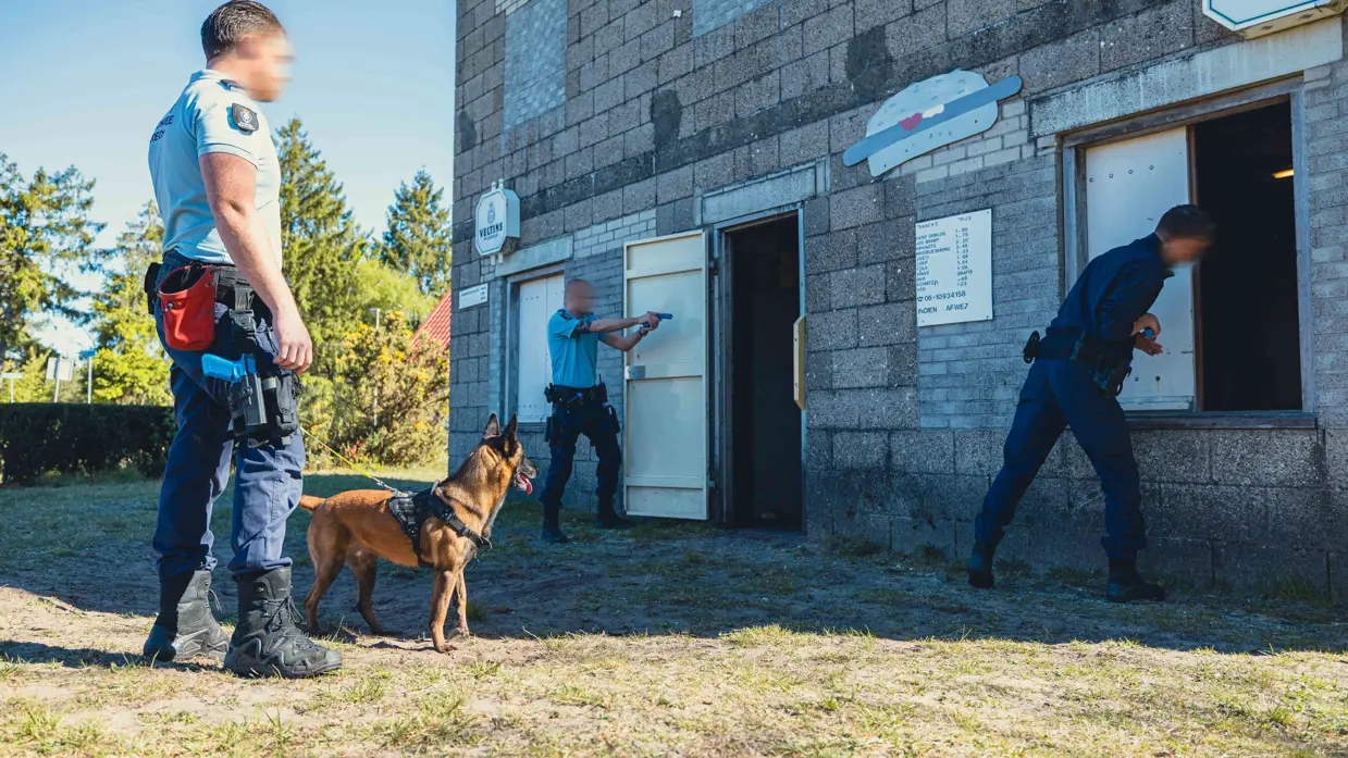 Een geleider en een hond kijken toe hoe agenten met getrokken wapens een pand inspecteren.