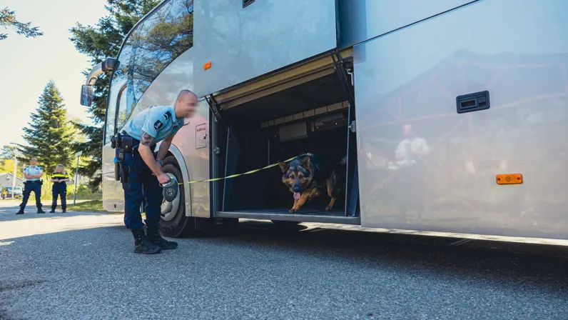 Een hond onderzoekt de laadruimte van een bus.