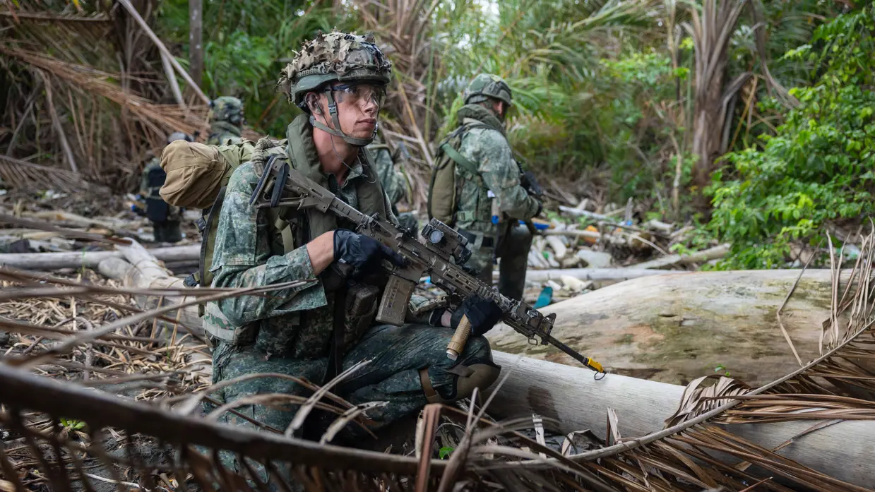 Mariniers houden de wacht op het land 