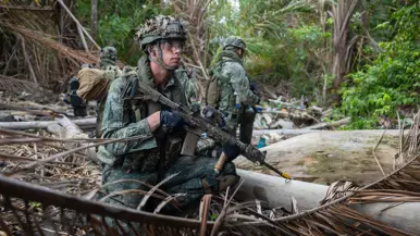 Mariniers houden de wacht op het land 