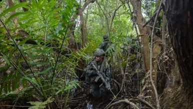 Mariniers lopen door de jungle