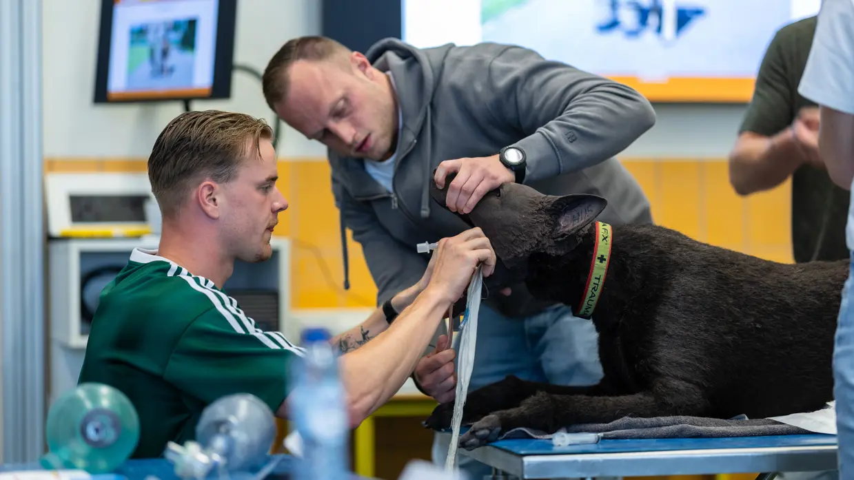Een dummyhond ligt op zijn buik op een behandeltafel. De ene man houdt zijn bek open, de ander brengt een beademingsbuis in.