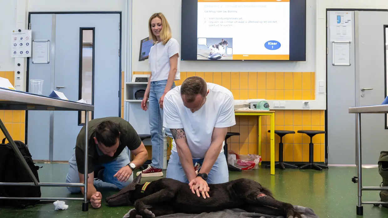 In een leslokaal reanimeert een man in wit T-shirt een dummyhond. Een andere man zit geknield bij de kop. De vrouwelijke docent op de achtergrond kijkt goedkeurend toe.