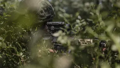 Een soldaat met helm en geweer ligt verborgen in groen struikgewas, gericht op een doel, omringd door bladeren.