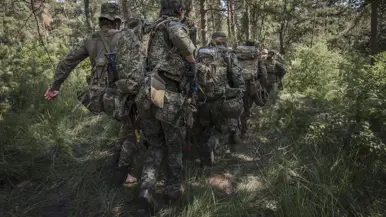 Een groep militairen op de rug gezien loopt door een bos met een draagbaar.