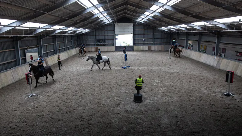 Overzichtsfoto van de paardijrijbak met diverse paarden, ruiters en staanders. 
