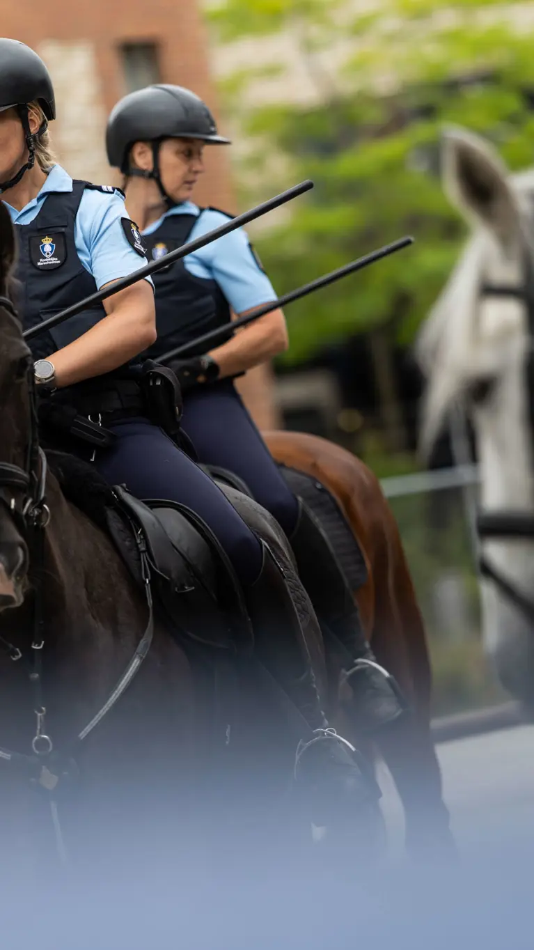 Twee paarden achter elkaar, beide ruiters hebben hun stok voor hun lichaam.