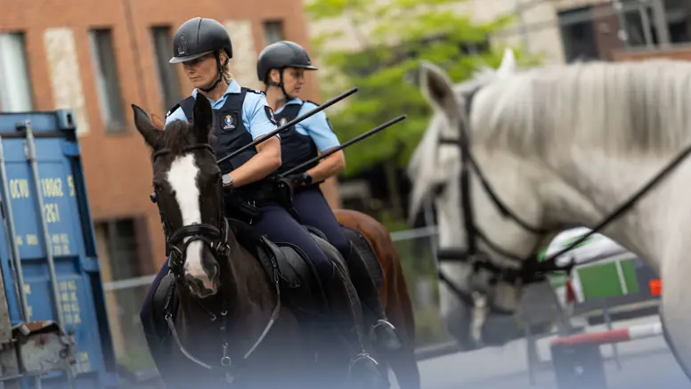 Twee paarden achter elkaar, beide ruiters hebben hun stok voor hun lichaam.