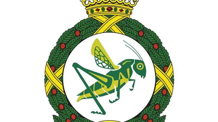 Afbeelding van het embleem 299 Squadron.