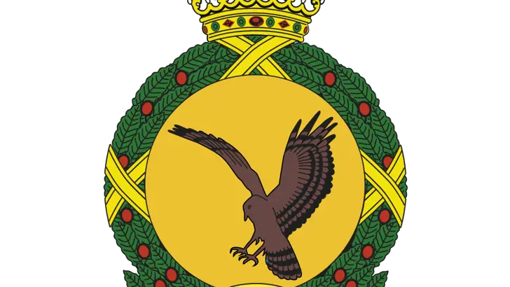Afbeelding van het embleem 302 Squadron.