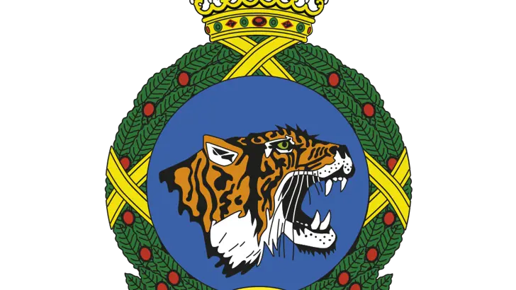 Afbeelding van het embleem 313 Squadron.