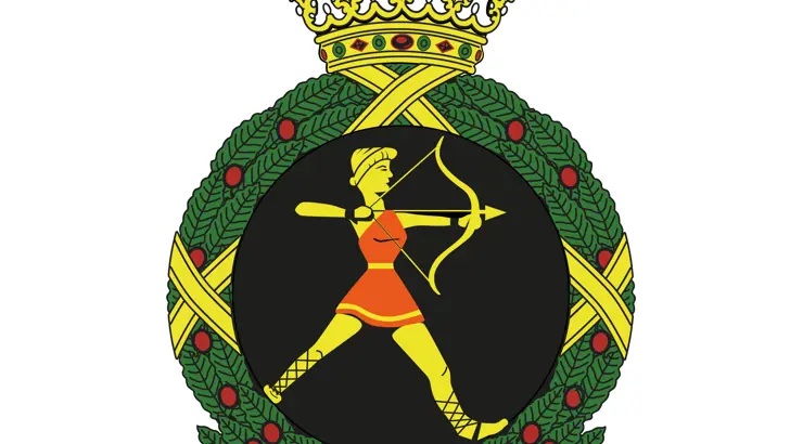 Afbeelding van het embleem 323 Squadron.