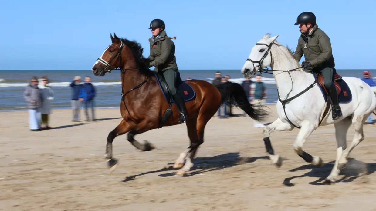 Links: Twee ruiters in uniform en met helmen rijden in galop op respectievelijk een bruin en wit paard over een zandstrand langs de zee. Rechts: Een groep ruiters in militair uniform en met helmen zit te paard in een bosrijk gebied met kale bomen en struiken.