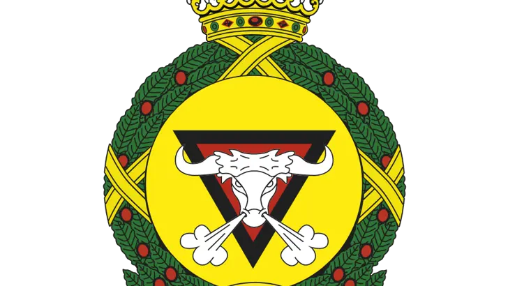 Afbeelding van het embleem 520 Squadron.