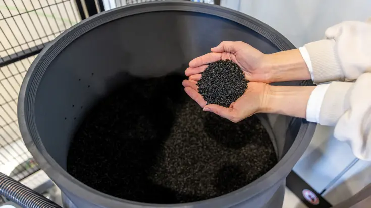 Zwarte korrels op een hand boven een emmer.