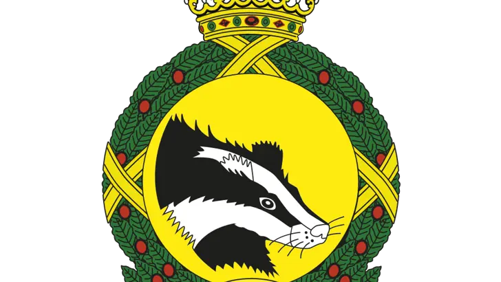 Afbeelding van het embleem 930 Squadron.
