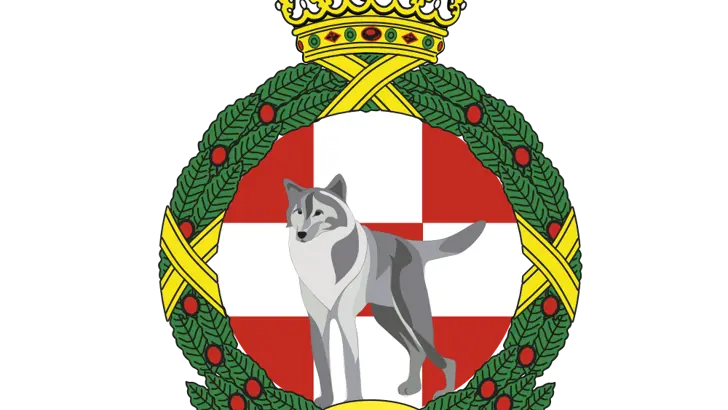Afbeelding van het embleem 941 Squadron.