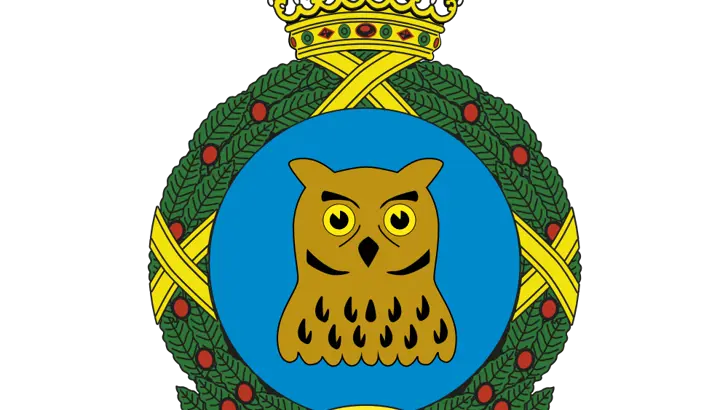 Afbeelding van het embleem 961 Squadron.