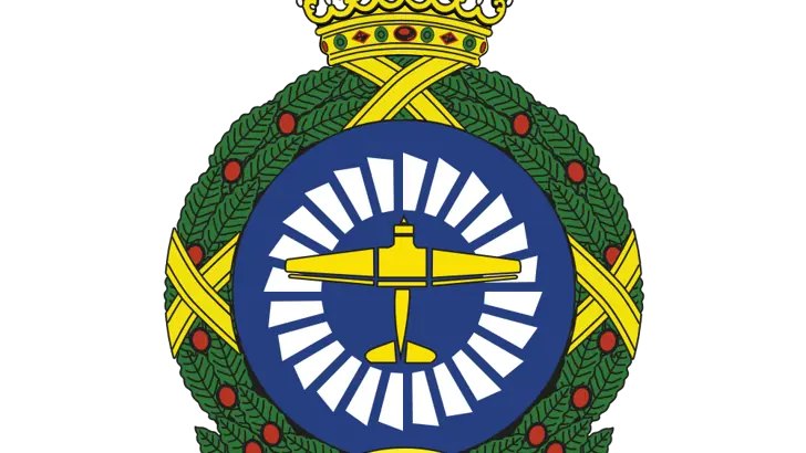Afbeelding van het embleem 980 Squadron.