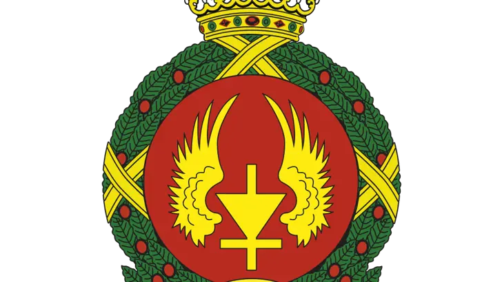 Afbeelding van het embleem 982 Squadron.