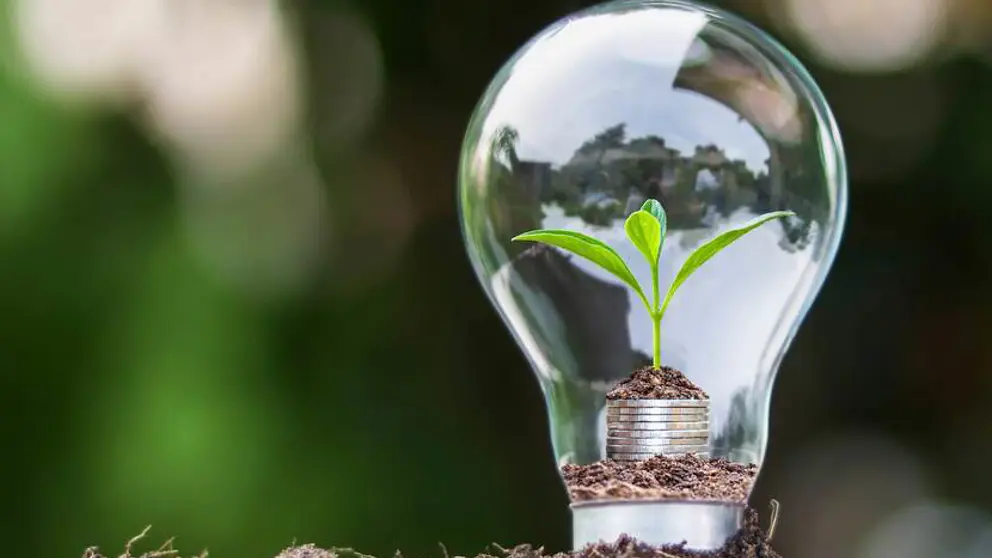 Gloeilamp met klein groen plantje erin op een beetje aarde. De aarde ligt weer op een stapeltje munten.