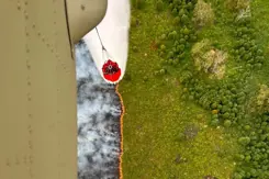 Een Chinook met Bambi Bucket dropt water op de bosbrand op de Hoge Venen