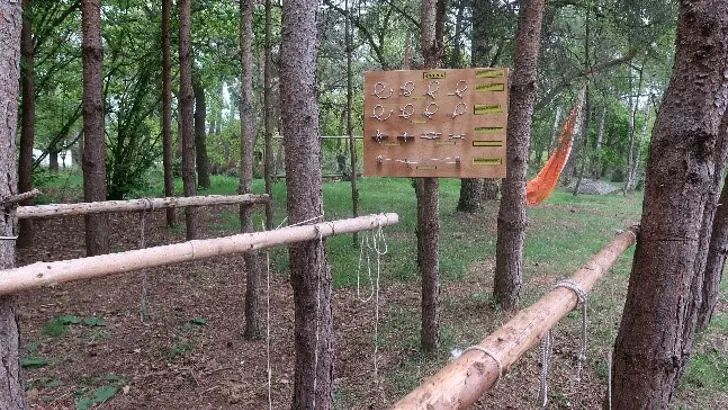 Testbaan in het bos.