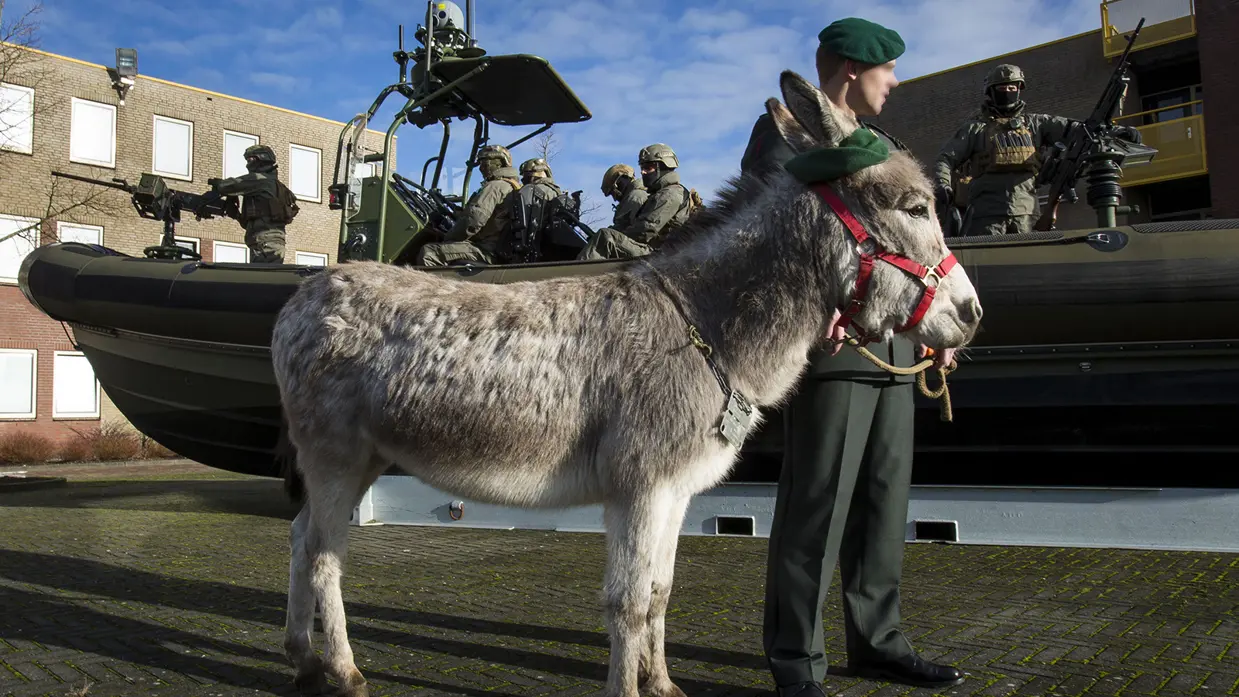 Militair met ezel en commando's in een boot op de achtergrond.