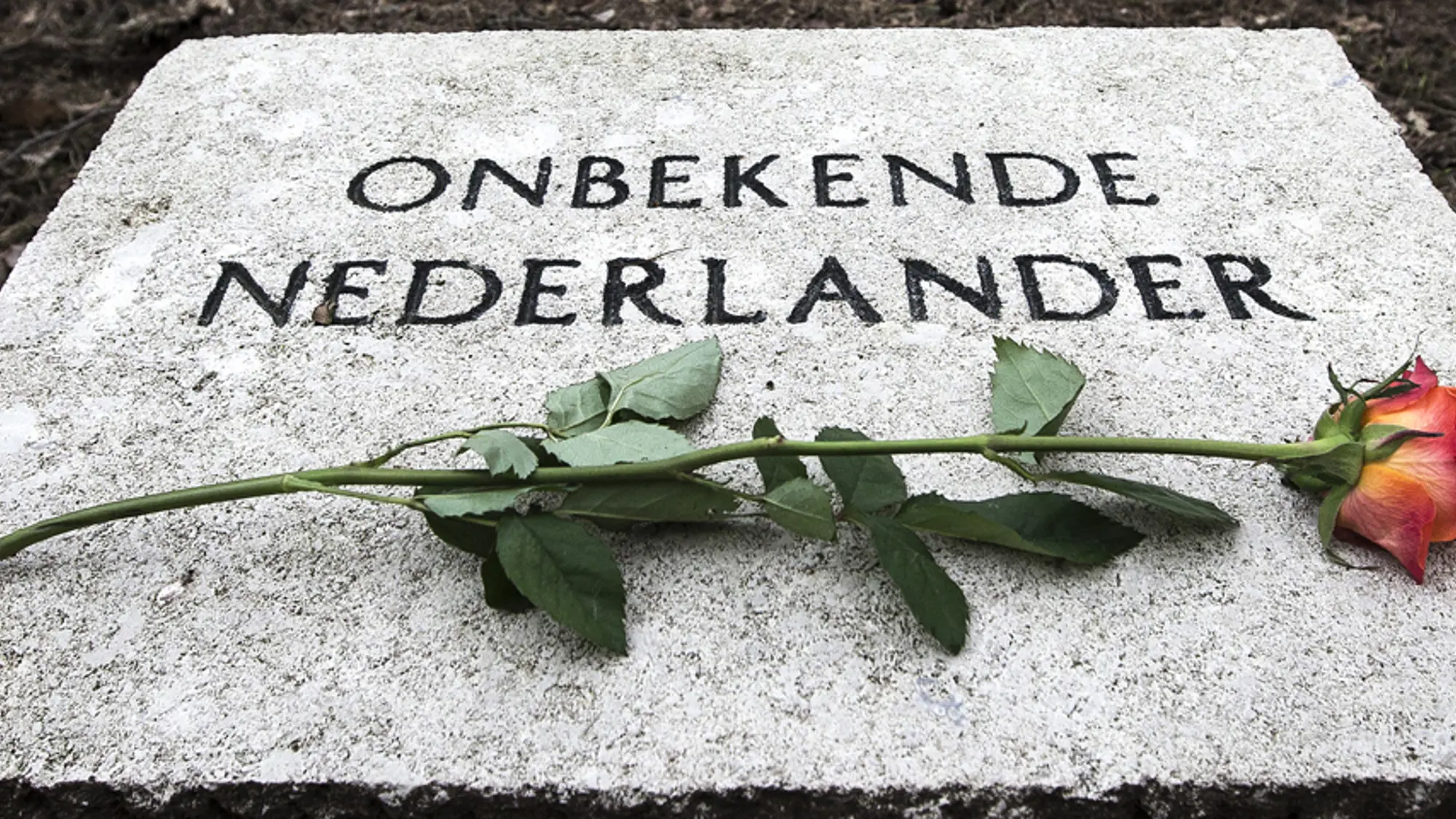 Dit is een alt tekst voor de foto