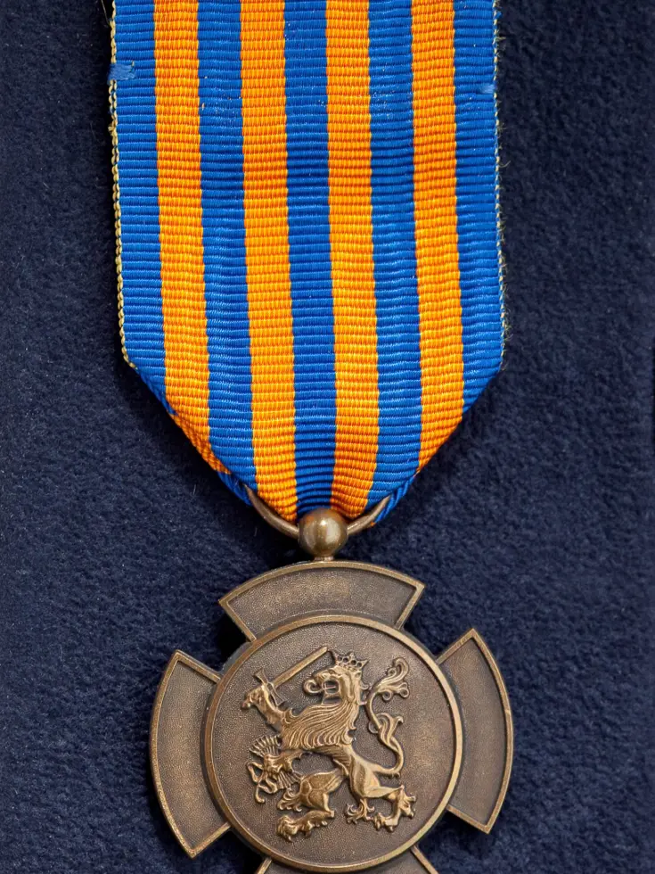 De Bronzen Leeuw.