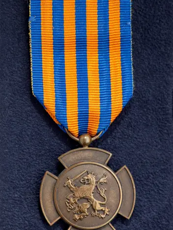 De Bronzen Leeuw.