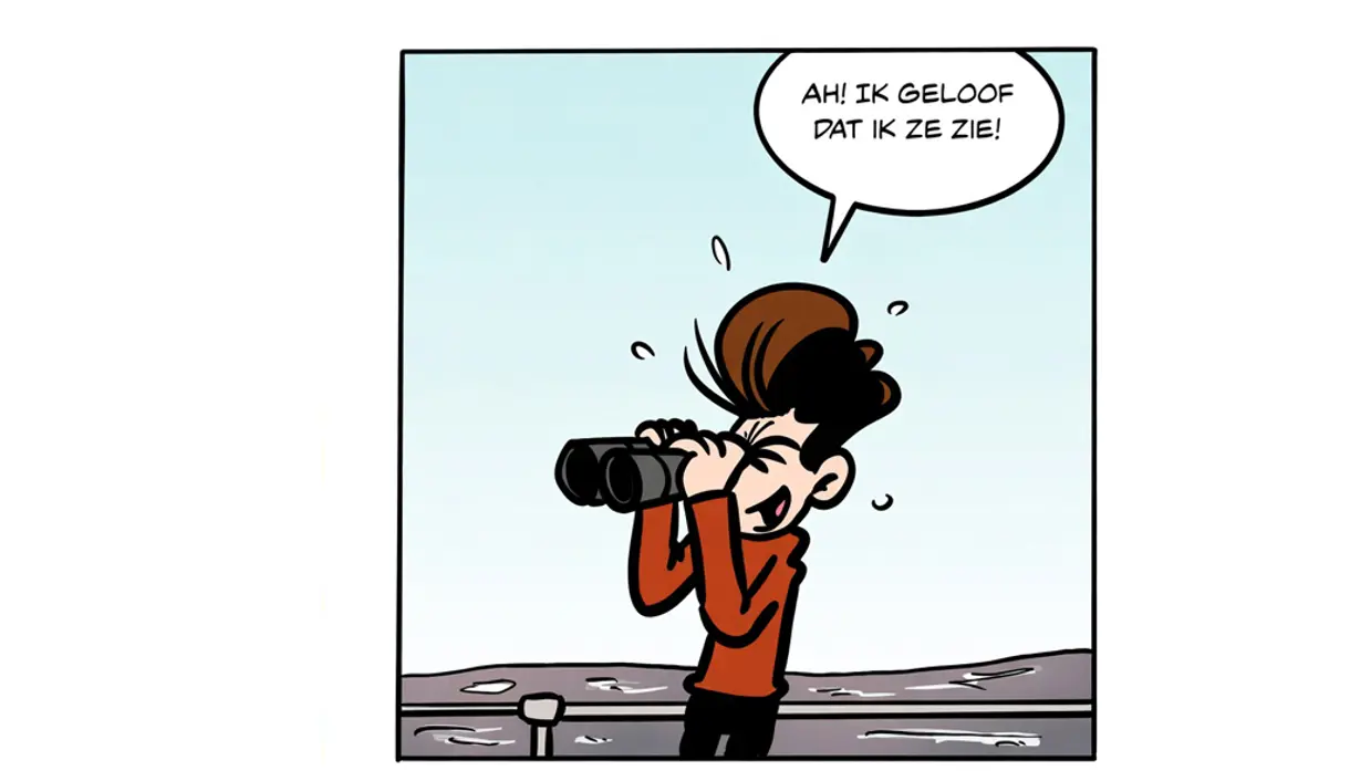 strip roy