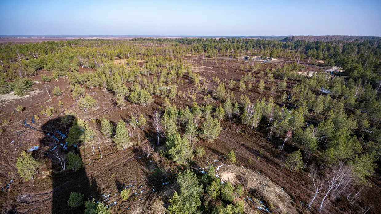 Zicht van boven op het bos waar de oefeningen verricht worden.