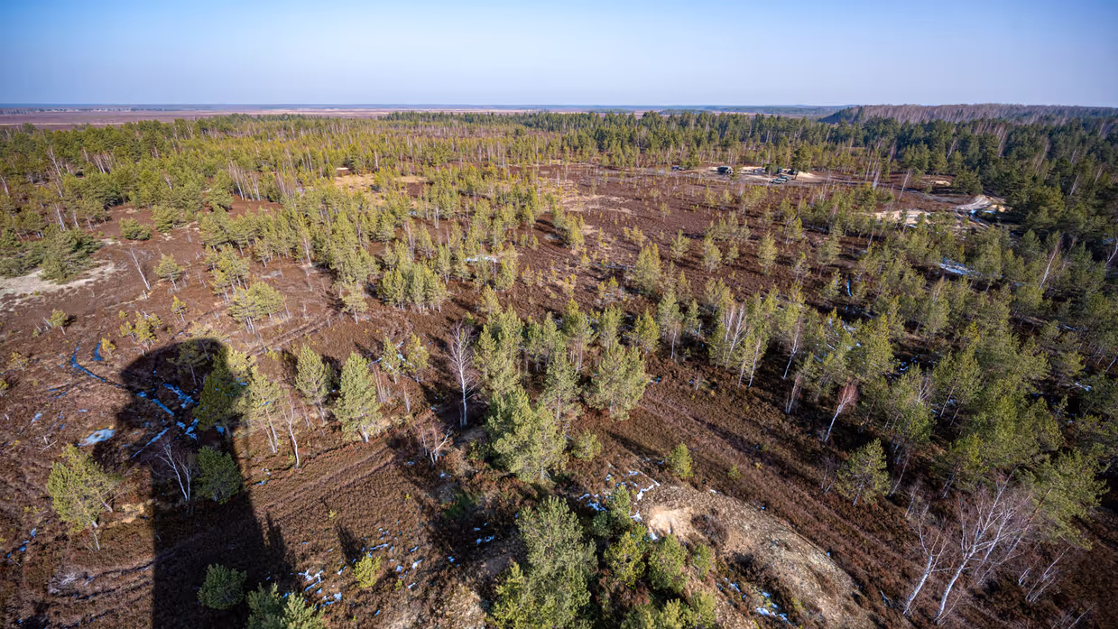 Zicht van boven op het bos waar de oefeningen verricht worden.
