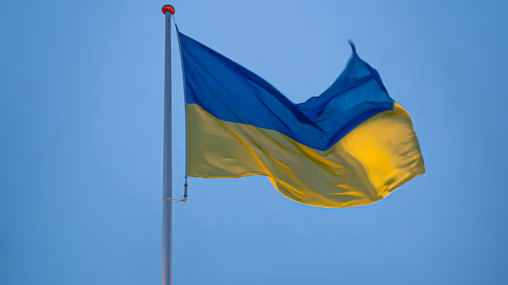 Vlag van Oekraïne .