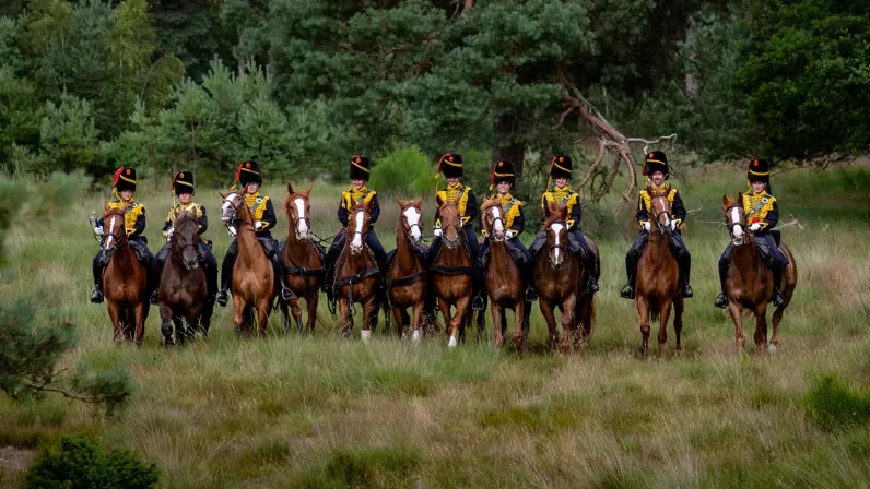 Een groep Gele Rijders te paard kijkt in de camera.