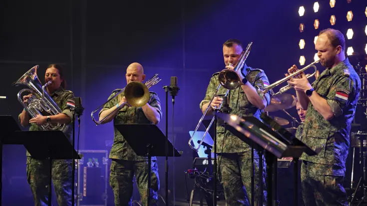 De feestband The green hornets.