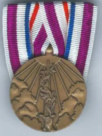 Herinneringsmedaille Vredesoperaties.