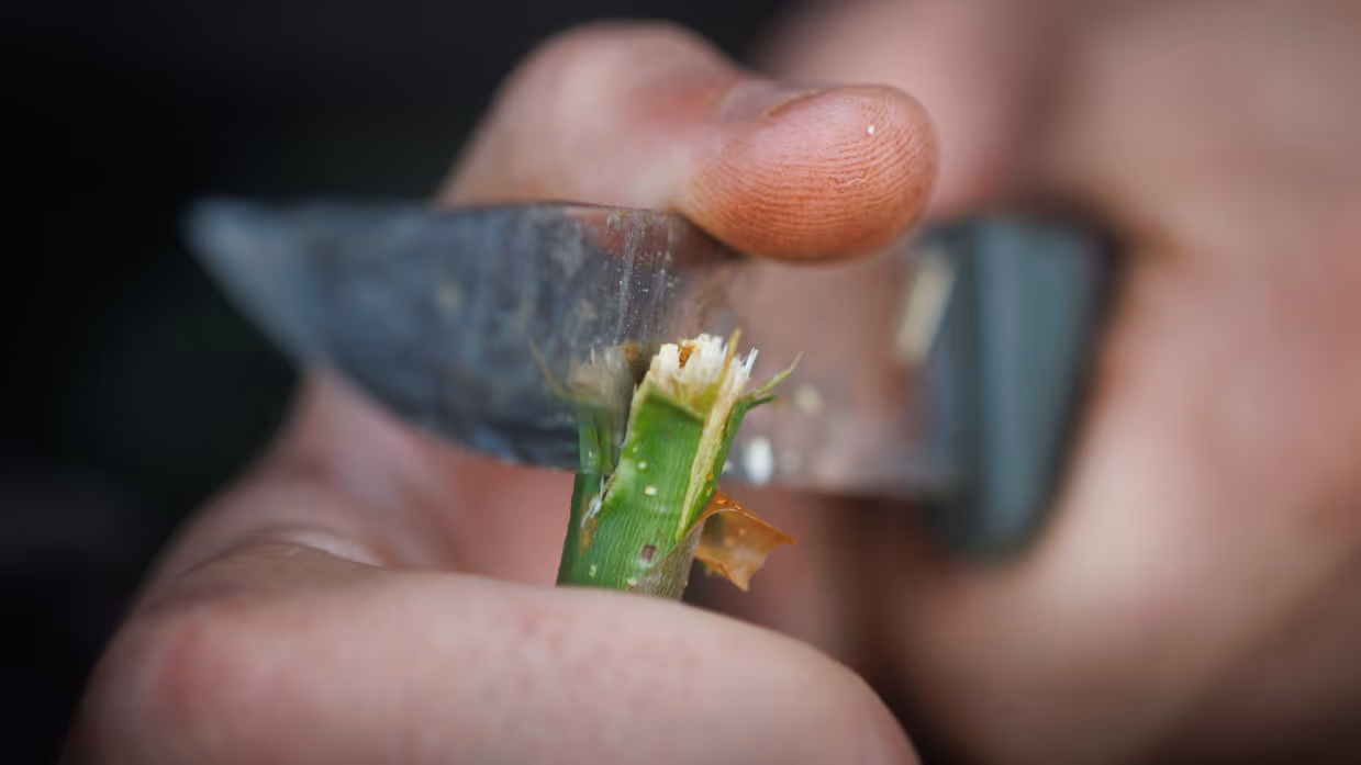 Close-up van de handen van een militair die een tak snijdt.