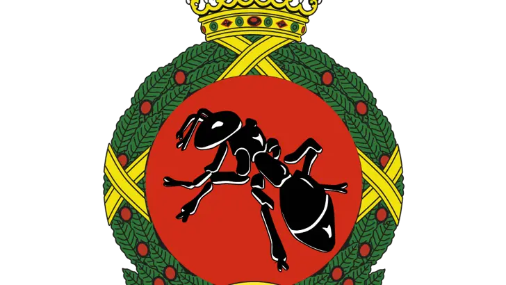 Afbeelding van het embleem 940 Squadron.
