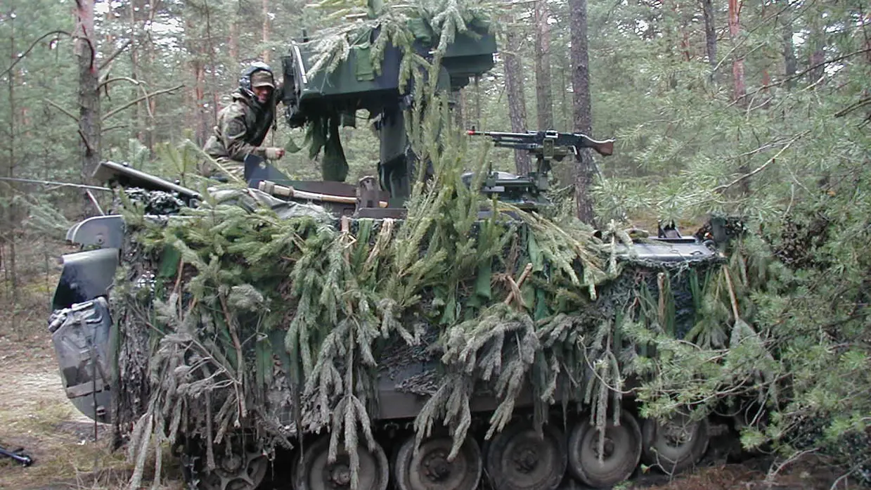Een met dennentakken gecamoufleerd rupsvoertuig.