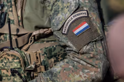 Embleem van de Nationale Reserve op de mouw van een militair.