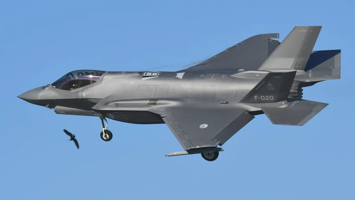 Een vogel wijkt uit voor een landende F-35.
