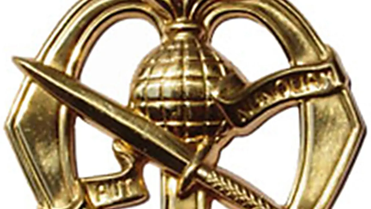 Korpsembleem Korps Commandotroepen.